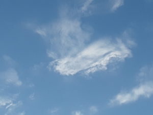 ciel